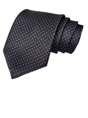 Black Dotted Necktie