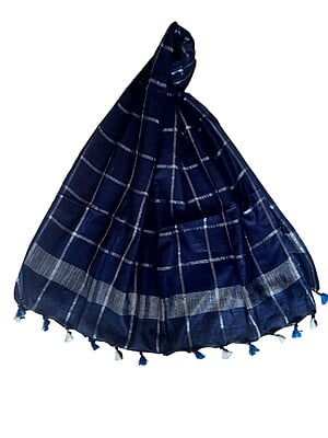 Navy Blue Cotton Silk Silver Zari Dupatta