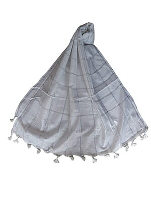 White Cotton Silk Silver Zari Dupatta