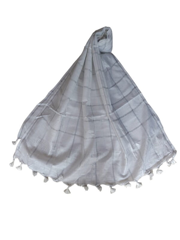 White Cotton Silk Silver Zari Dupatta