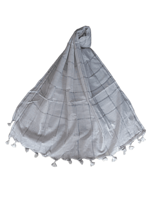 White Cotton Silk Silver Zari Dupatta