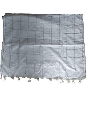 White Cotton Silk Silver Zari Dupatta