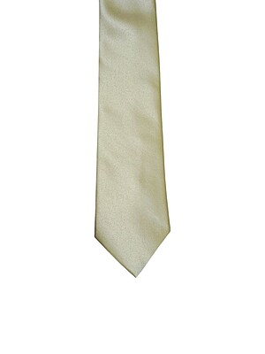 Golden Solid Microfiber Silk Necktie